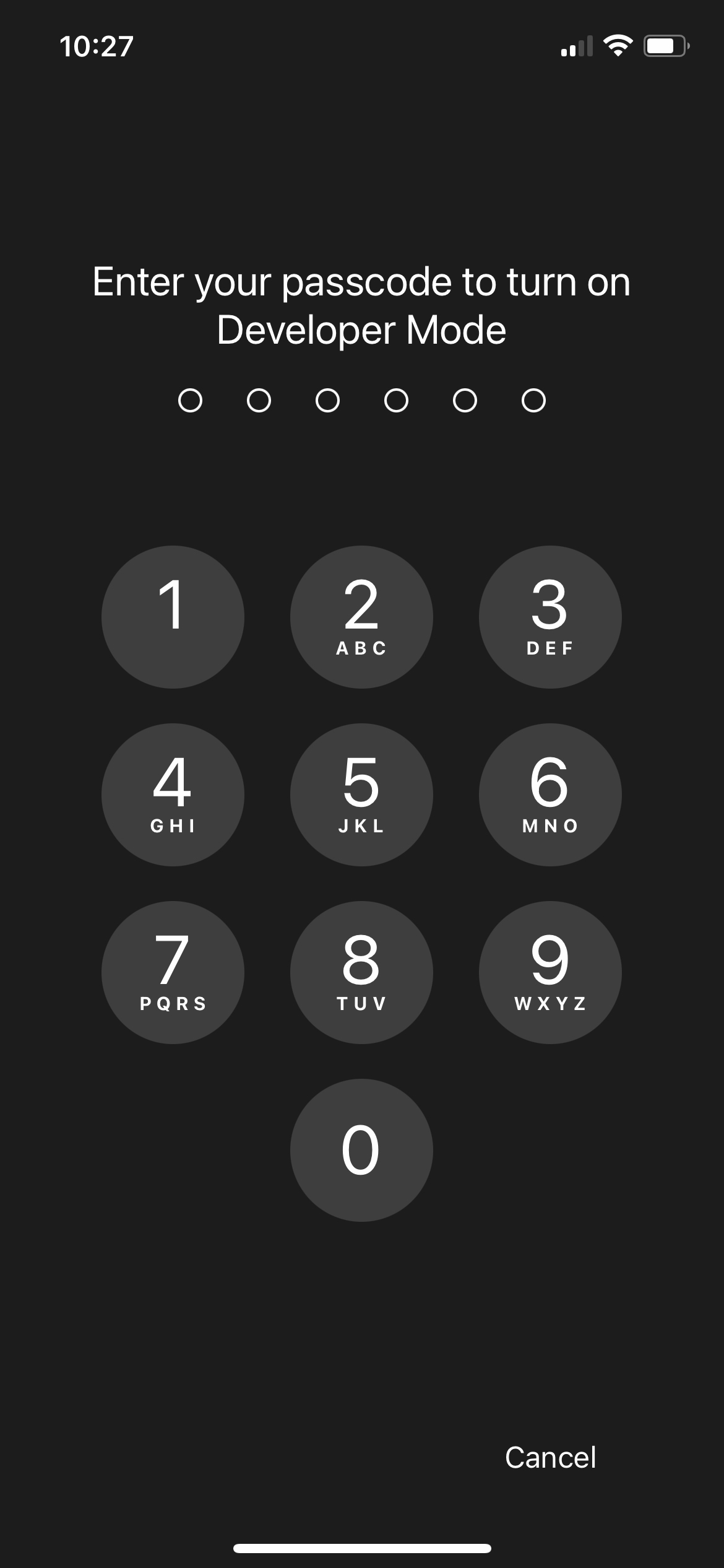 Developer Mode passcode confirmation